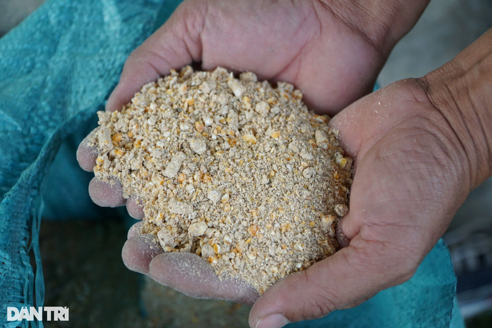 2 người đàn ông tuổi Dậu bỏ lương cao về quê làm chuyện kỳ lạ với trứng gà - 7