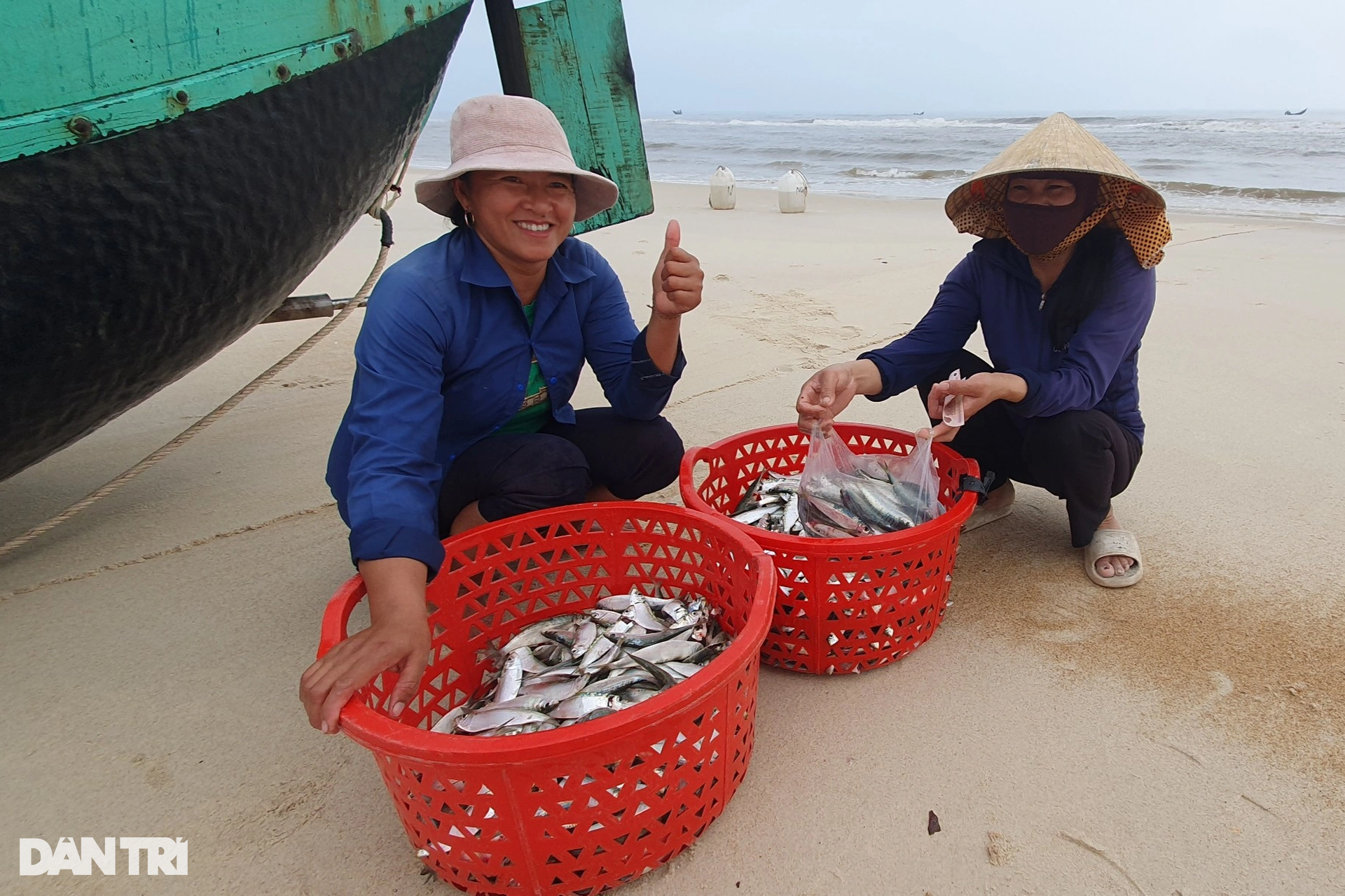 Trúng đậm cá trích, ngư dân bãi ngang thu tiền triệu mỗi ngày - 3