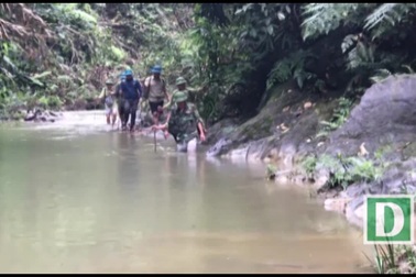 Cận cảnh vụ phá rừng phòng hộ tại Quảng Bình