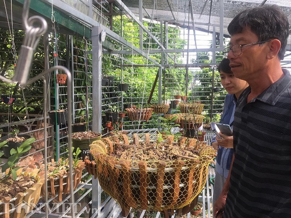 Những cú lừa khiến nạn nhân khánh kiệt trong cơn sốt lan đột biến tiền tỷ - 1 Những cú lừa khiến nạn nhân khánh kiệt trong cơn sốt lan đột biến tiền tỷ - 1