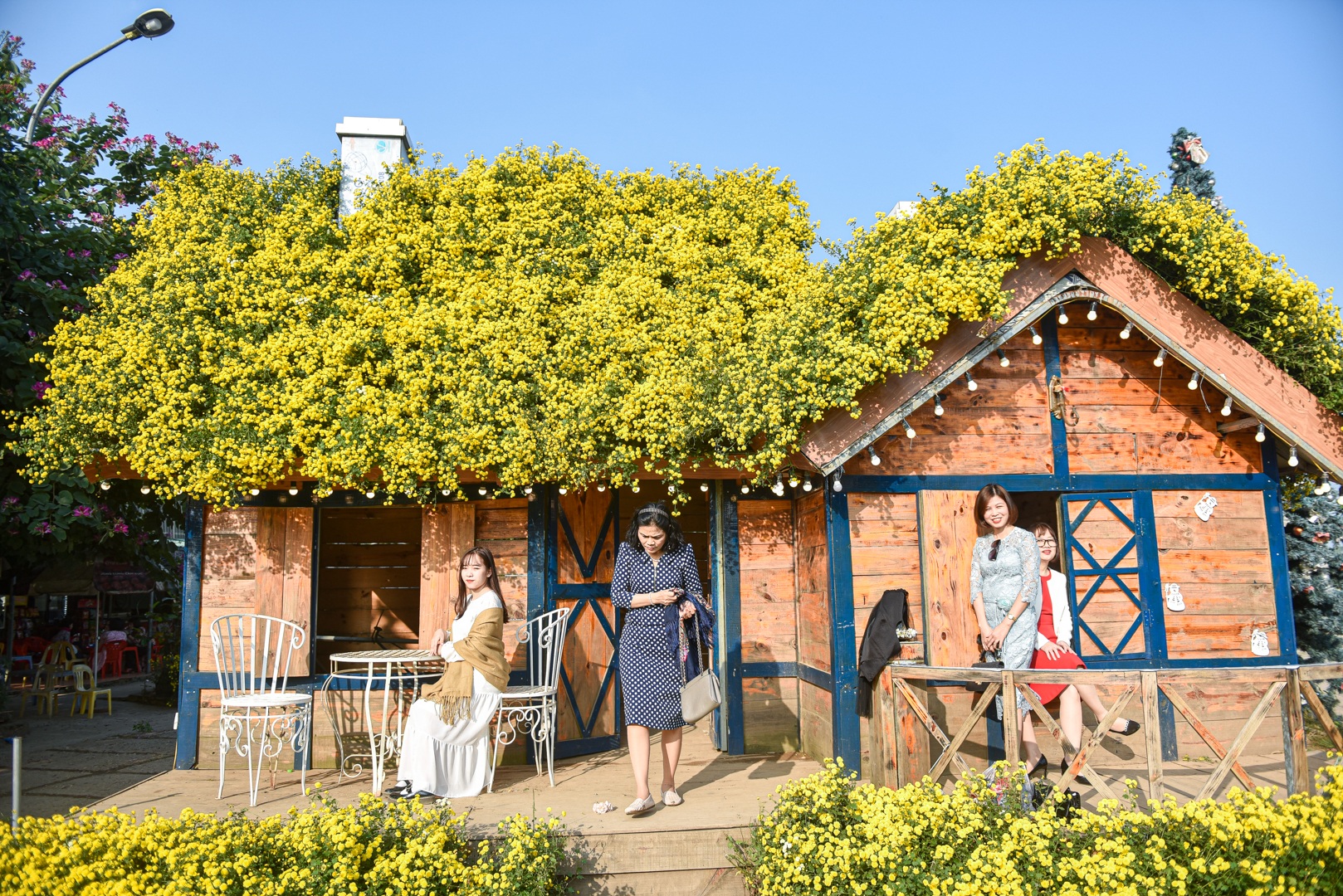 Chiêm ngưỡng ngôi nhà cúc chi đẹp mê mẩn ở Hà Nội - 7