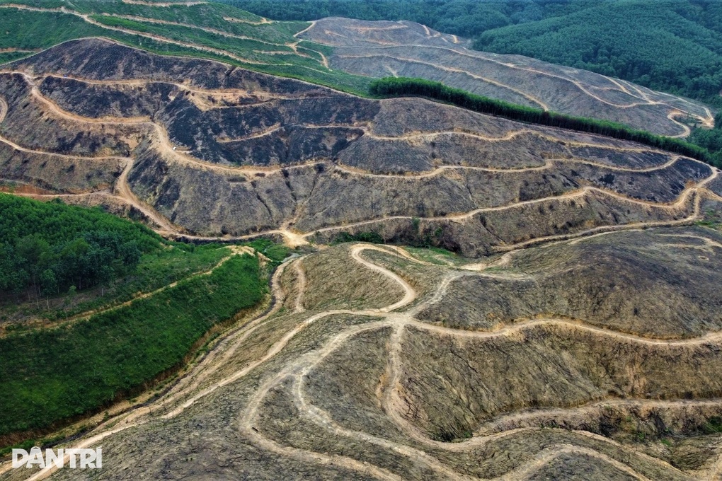 Những ngọn đồi bị cạo trọc trước mùa mưa: Chính quyền thừa nhận bất cập - 1