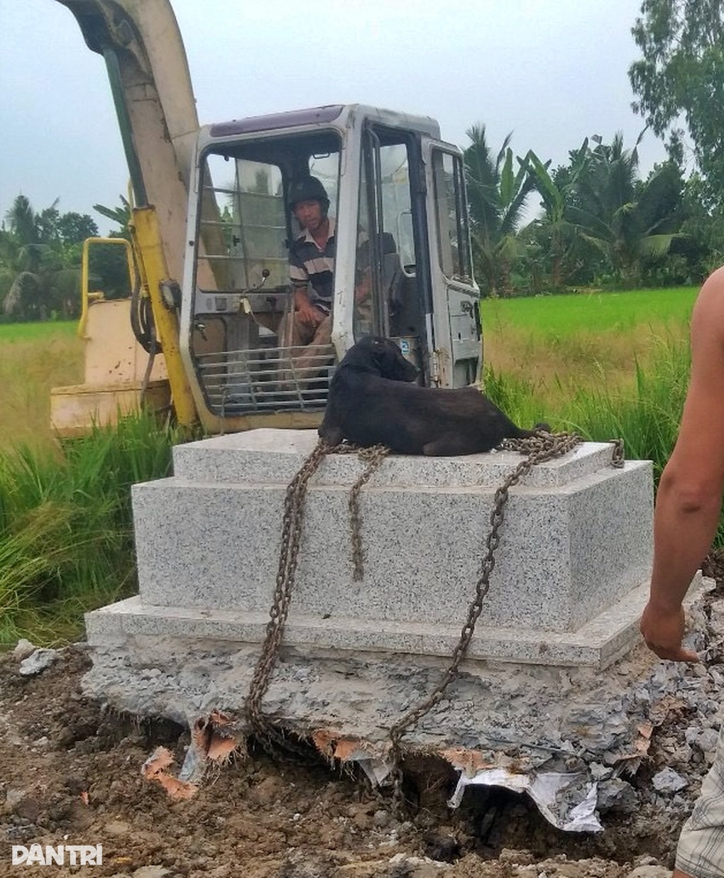 Chuyện ít ai biết về chú chó 6 năm nằm canh mộ chủ ở miền Tây - 4 Chuyện ít ai biết về chú chó 6 năm nằm canh mộ chủ ở miền Tây - 4
