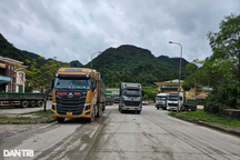 Cục trưởng Cục Hải quan Nghệ An bị kiểm điểm