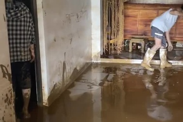 Gia đình ở Thái Nguyên đang dọn nhà ngập bùn, lợn từ đâu rơi xuống đất