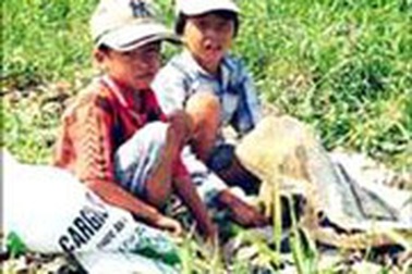 Hà Nội: Hơn hai tỷ đồng trợ giúp trẻ lang thang 