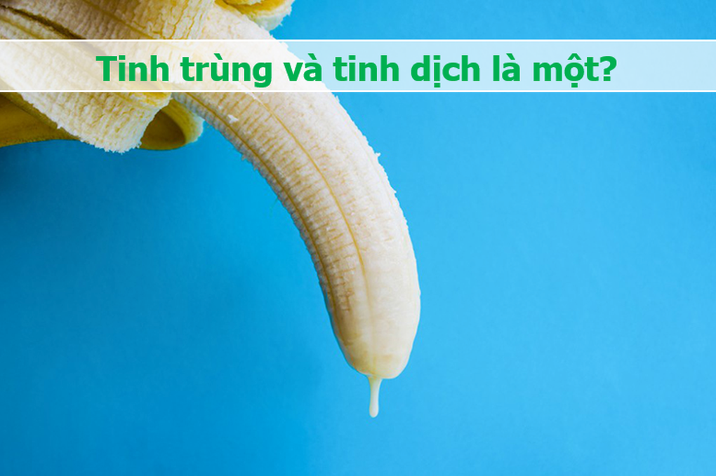 Tinh trùng và những điều bất ngờ: Vẫy đuôi 20 lần/giây, mất 70 ngày để lớn - 1 Tinh trùng và những điều bất ngờ: Vẫy đuôi 20 lần/giây, mất 70 ngày để lớn - 1