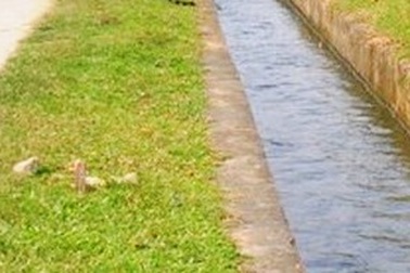 Nữ sinh lớp 11 tử nạn sau lễ tổng kết năm học