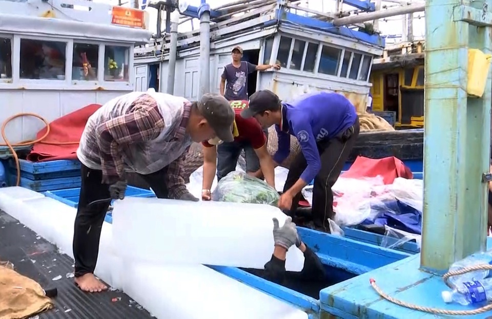 Phú Yên: Hàng trăm tàu cá của ngư dân háo hức vươn khơi đầu năm - 5 Phú Yên: Hàng trăm tàu cá của ngư dân háo hức vươn khơi đầu năm - 5
