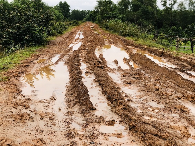 Xe chở đất và chở keo tràm băm nát đường công vụ.