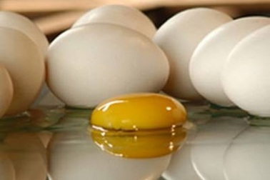 Nhìn vỏ biết trứng nhiễm khuẩn độc?