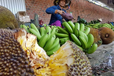 Tái hiện chợ quê Quảng Nam