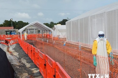 Ấn Độ phát hiện trường hợp đầu tiên dương tính với virus Ebola