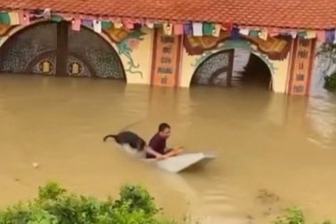 Người đàn ông tử nạn vì cố cứu chú chó khỏi dòng nước lũ