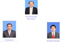 Bài 8: "20 ha rừng bị phá, lãnh đạo huyện Sơn Động phải bị xử lý trách nhiệm"