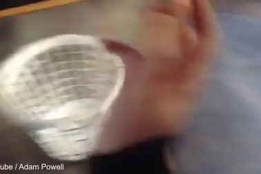 Chó ngớ ngẩn tìm cách lấy bóng ra khỏi giỏ