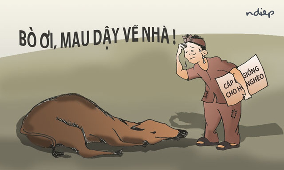 Thôi, xin các vị đừng làm người nghèo thêm tổn thương! - 1 Thôi, xin các vị đừng làm người nghèo thêm tổn thương! - 1