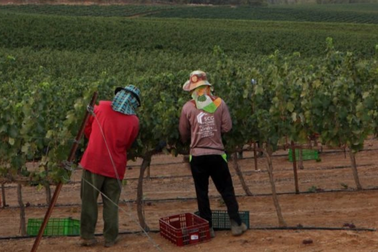 Lao động Thái Lan giằng xé giữa chiến sự Hamas - Israel