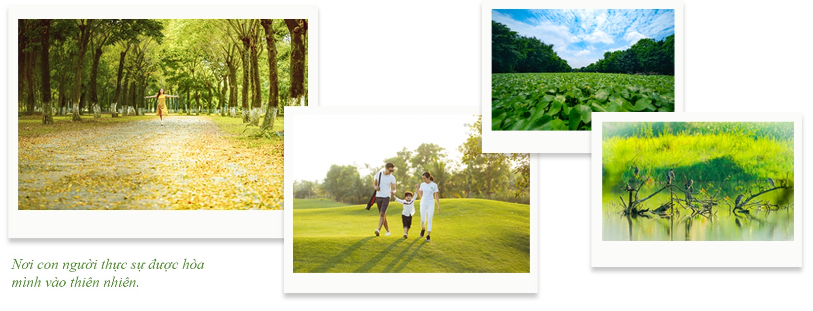Ecopark - Thành phố của những nụ cười hạnh phúc - 5 Ecopark - Thành phố của những nụ cười hạnh phúc - 5