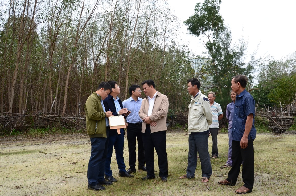 Cây héo úa bất thường quanh dự án thép Hòa Phát Dung Quất - 4 Cây héo úa bất thường quanh dự án thép Hòa Phát Dung Quất - 4
