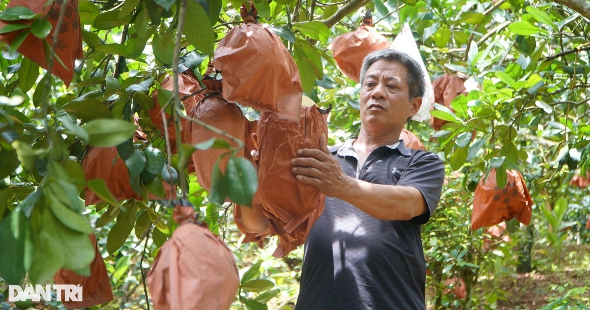 Người đàn ông trở thành triệu phú từ món quà của cha