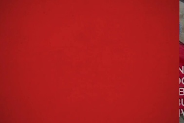 Chùm ảnh hài hước khi người dân chống đỡ với nắng nóng