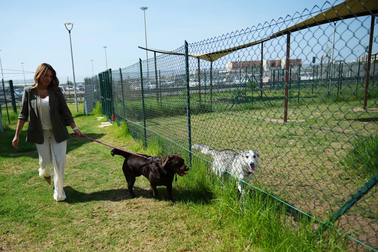 Sân bay Italy mở khách sạn cho chó cưng, có xoa bóp và nhạc thư giãn