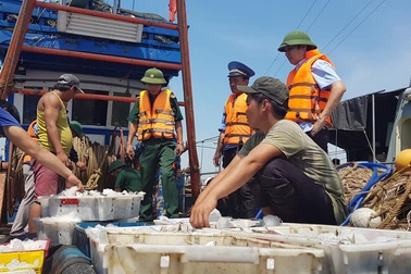 Liên tiếp bắt giữ nhiều tàu giã cào tận diệt hải sản