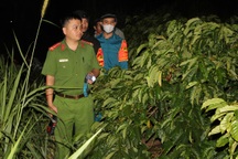 Công an trắng đêm cùng nông dân tuần tra, ngăn chặn nạn trộm cà phê