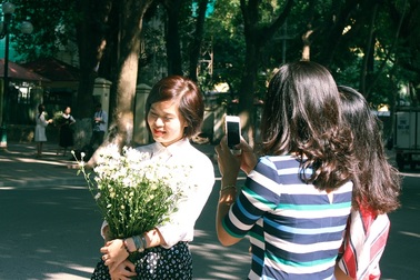 Tinh khôi sắc trắng cúc họa mi trên phố phường Hà Nội