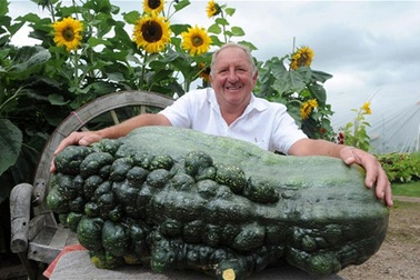 "Choáng" với quả bí xanh nặng 54 kg 