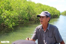 Có một vùng sông nước "miền Tây" trong lòng đầm Thị Nại