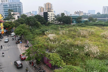 Hốt bạc từ cho vay, chủ đất vàng Giảng Võ lãi gấp đôi trong quý II