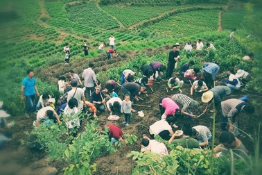 Dân làng phát hoảng vì “dân tứ xứ” đổ xô đến đào… đá quý