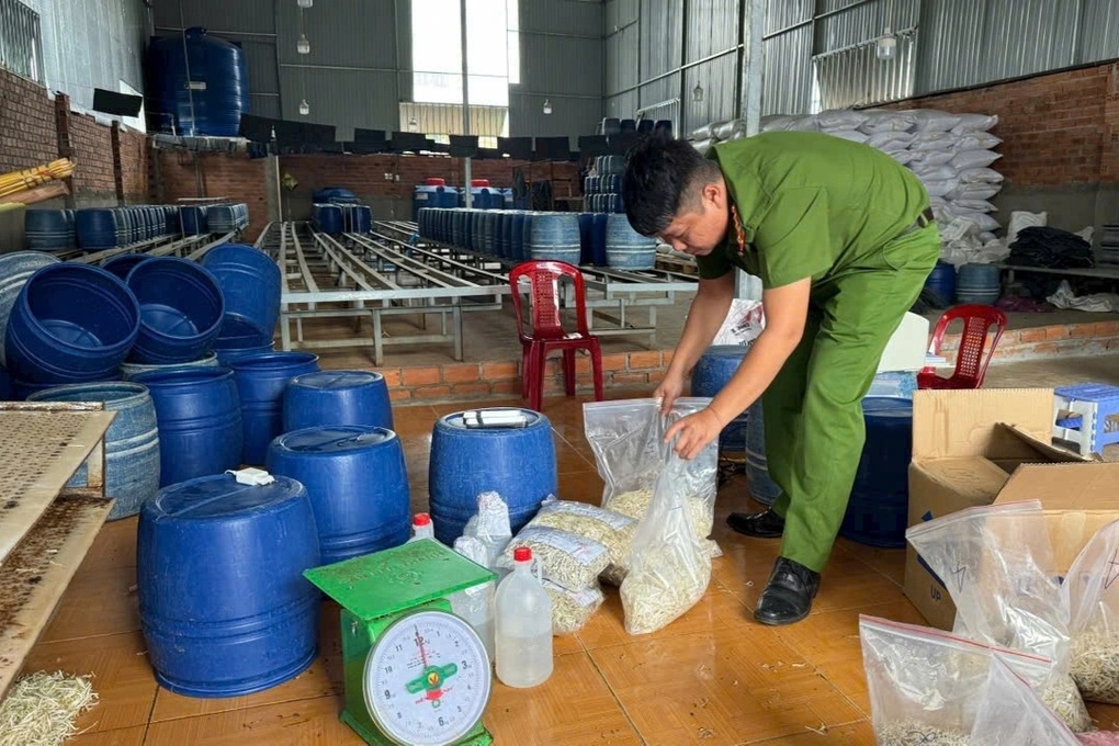 Nước kẹo ủ giá đỗ - Chất độc hại gan, gây dị tật thai nhi - 1 Nước kẹo ủ giá đỗ - Chất độc hại gan, gây dị tật thai nhi - 1
