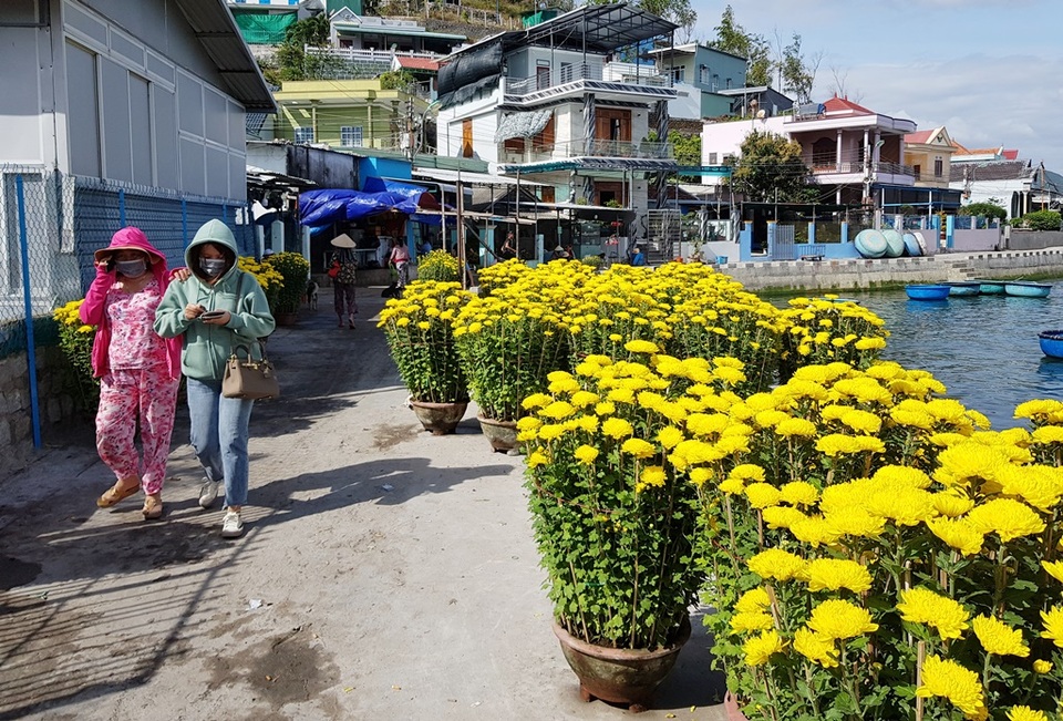 Khánh Hòa: Nhộn nhịp chở Tết ra đảo, thu tiền triệu mỗi ngày - 8 Khánh Hòa: Nhộn nhịp chở Tết ra đảo, thu tiền triệu mỗi ngày - 8