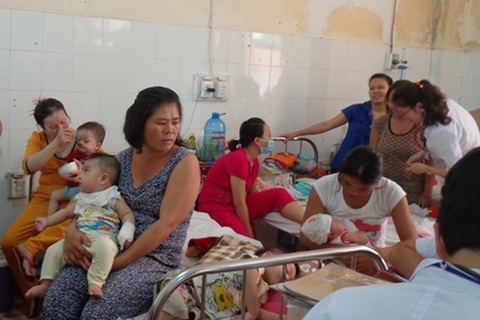 Đắk Lắk: Phát hiện hơn 30 ổ dịch sốt xuất huyết