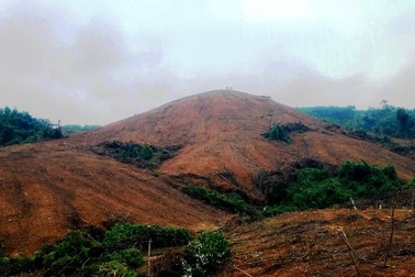 Tỉnh Quảng Trị "tuýt còi" khẩn tình trạng đưa máy móc san ủi, lấn chiếm đất rừng!