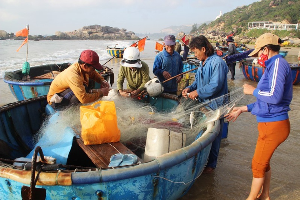 Làng lưới thúng trúng đậm ngày giáp Tết - 1