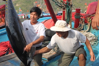 Vạn trái tim hướng về biển đảo quê hương