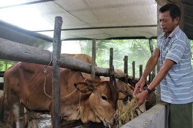 Sóc Trăng: Thương binh làm kinh tế giỏi, chủ động đăng ký thoát nghèo