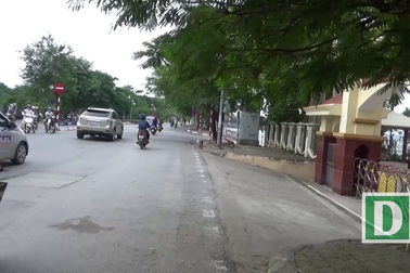 Người dân Hà Nội sợ chó thả rông không rọ mõm