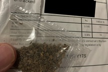 Vụ người Mỹ nhận hạt giống lạ nghi từ Trung Quốc có thể là trò lừa đảo