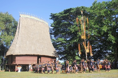 Xuân về trên mái nhà Rông