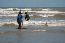 Vật lộn với sóng dữ gom "lộc trời", kiếm tiền triệu mỗi ngày