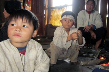 Lại đau lòng chuyện gỗ đè chết người