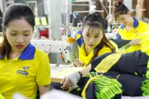 Đo thiệt, hơn khi không rút bảo hiểm xã hội, chờ đến tuổi hưu