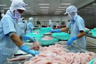 Việt Nam phản đối Mỹ áp thuế chống bán phá giá cá tra đông lạnh 