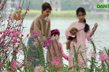 Thời tiết đẹp, người dân đổ ra đường du xuân Ất Tỵ