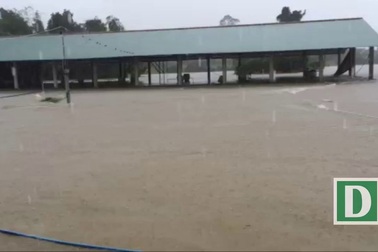 Bất lực nhìn 200 con heo bị lũ cuốn trôi ở Khánh Hòa